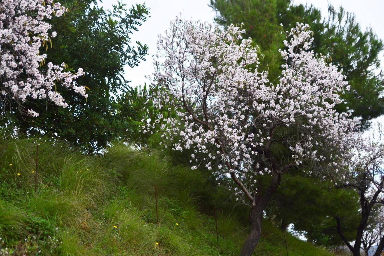 Casa Jardin Natural Sedella Eksteriør bilde