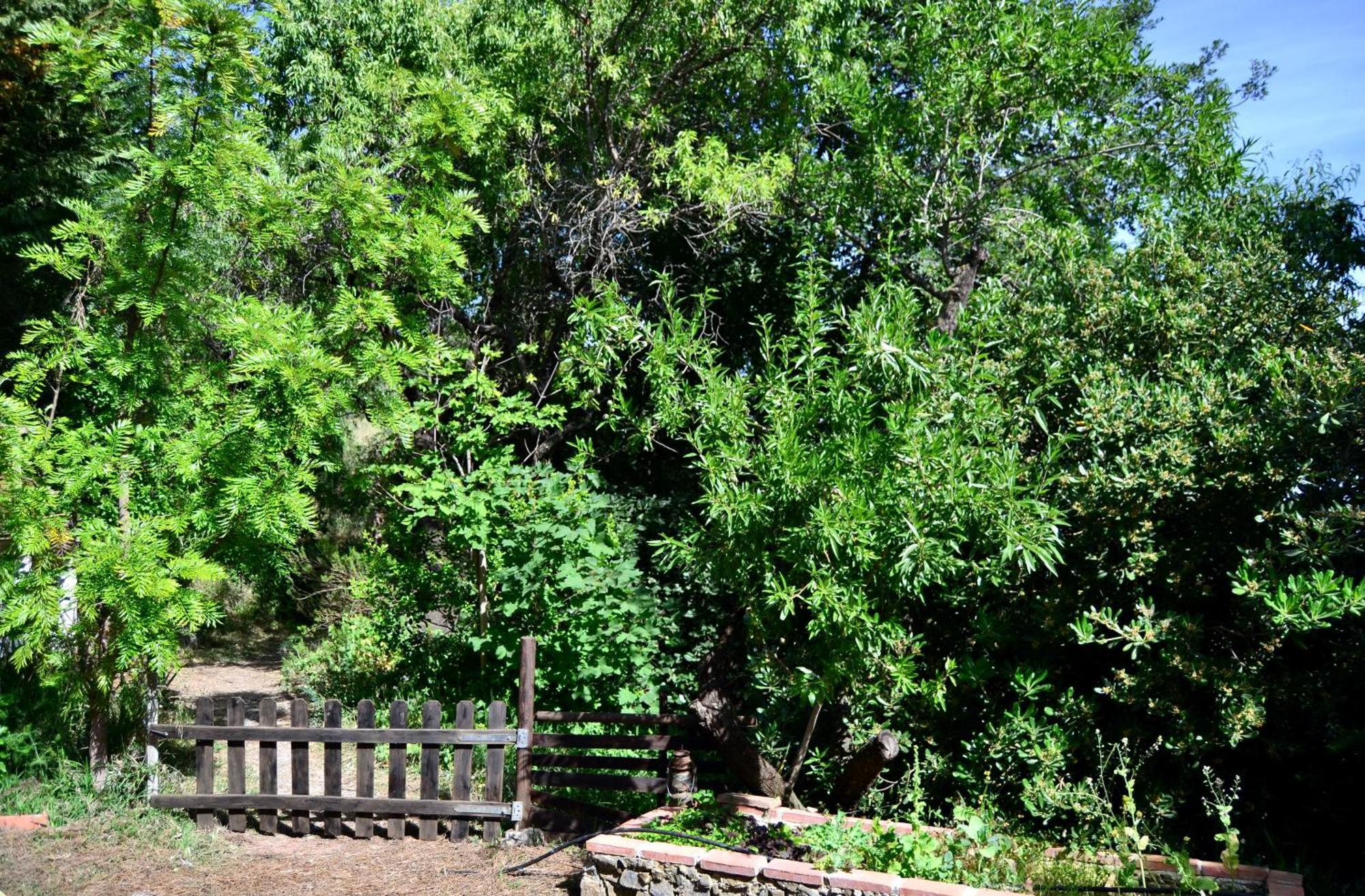 Casa Jardin Natural Sedella Eksteriør bilde
